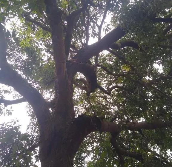 ホテル Gundappa Cafe Gokarna Kudle Beach