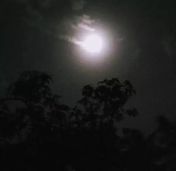 ホテル Gundappa Cafe Gokarna Kudle Beach