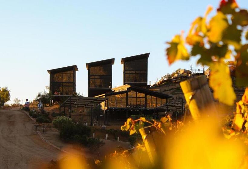 בית מלון כפרי Origen75 Loft   Villas   Skypool   Viñedo, Valle De Guadalupe