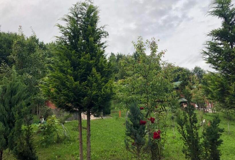 فندق /restaurant Dealu Hera