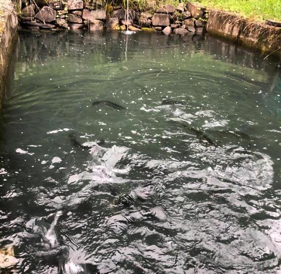 Отель /restaurant Dealu Hera