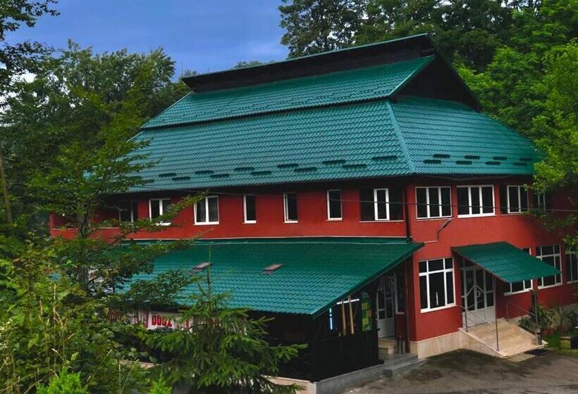 فندق /restaurant Dealu Hera