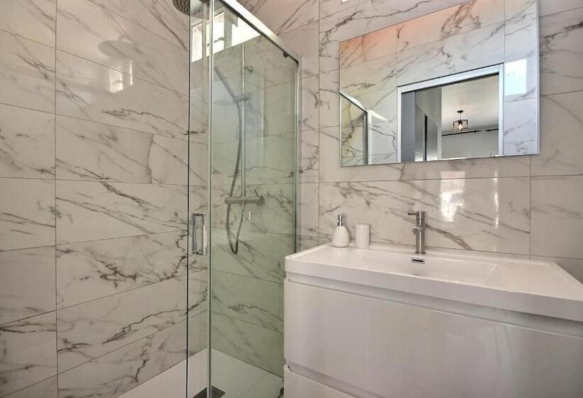 Les Toits Du Vieux Port