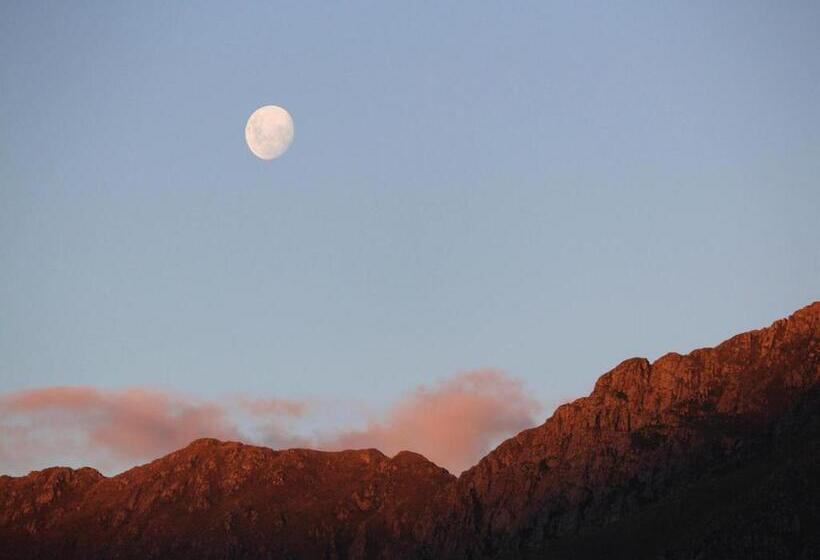 Malecon En Calle Techada Hostel