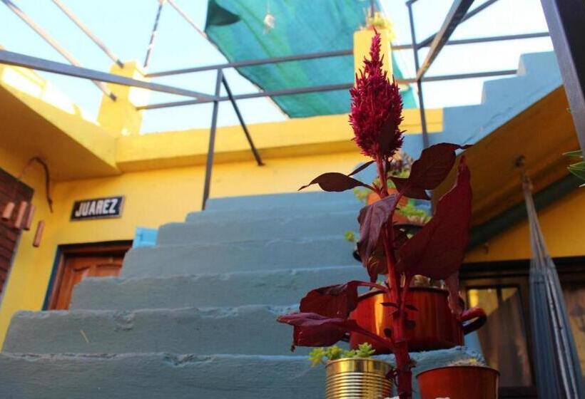 Malecon En Calle Techada Hostel