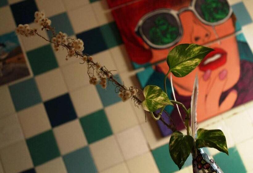 Malecon En Calle Techada Hostel