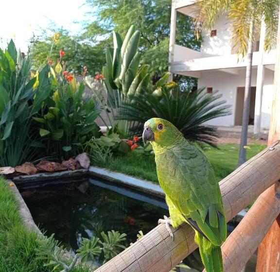 Пансион Pousada Farol