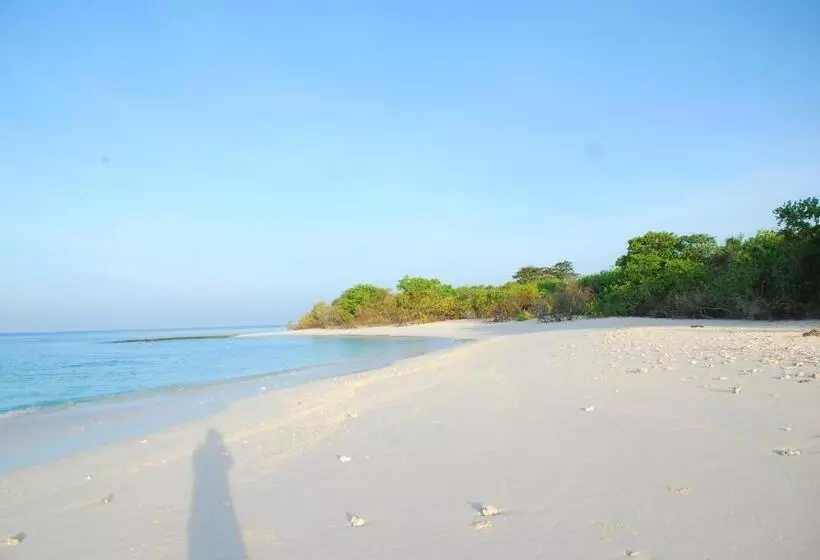 پانسیون Priv Fodhdhoo