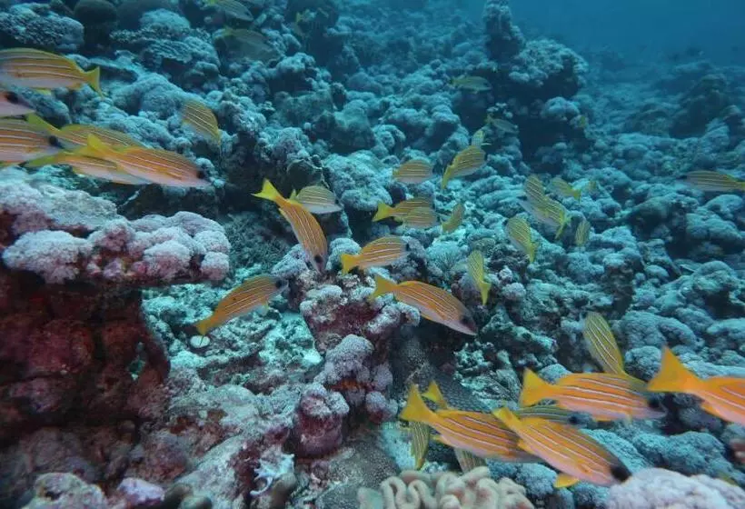 پانسیون Priv Fodhdhoo