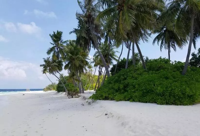 پانسیون Priv Fodhdhoo