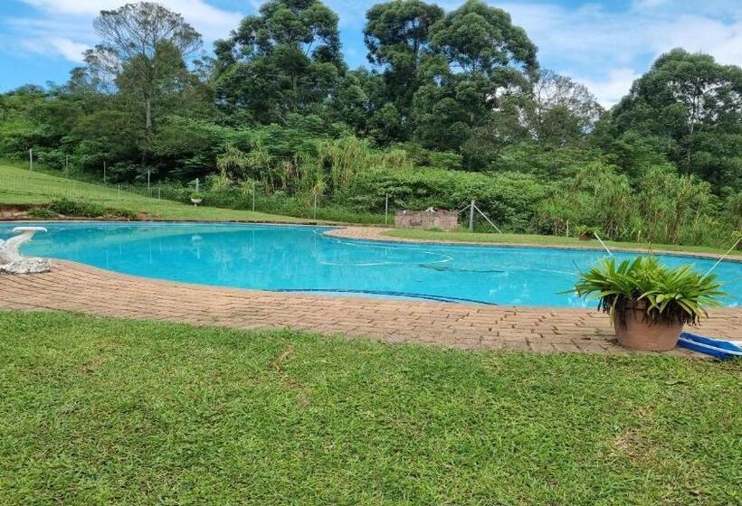 فندق صغير Peacevale Backpackers