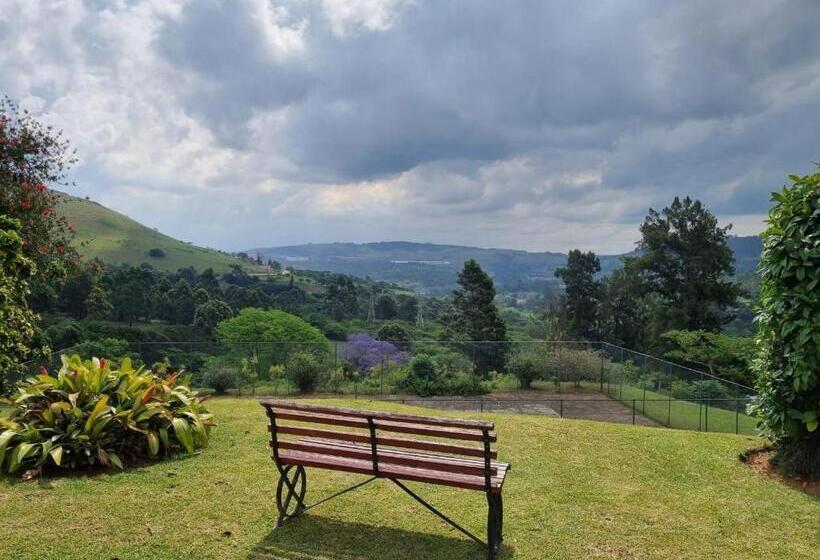 فندق صغير Peacevale Backpackers