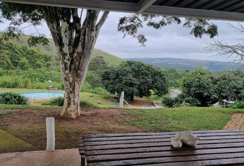 فندق صغير Peacevale Backpackers