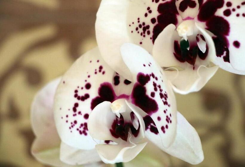 فندق صغير Pousada Solar Dos Guaras