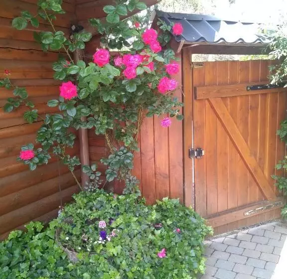 Aamiaismajoitus (B&B) Chalet Le Paradou Adults Only