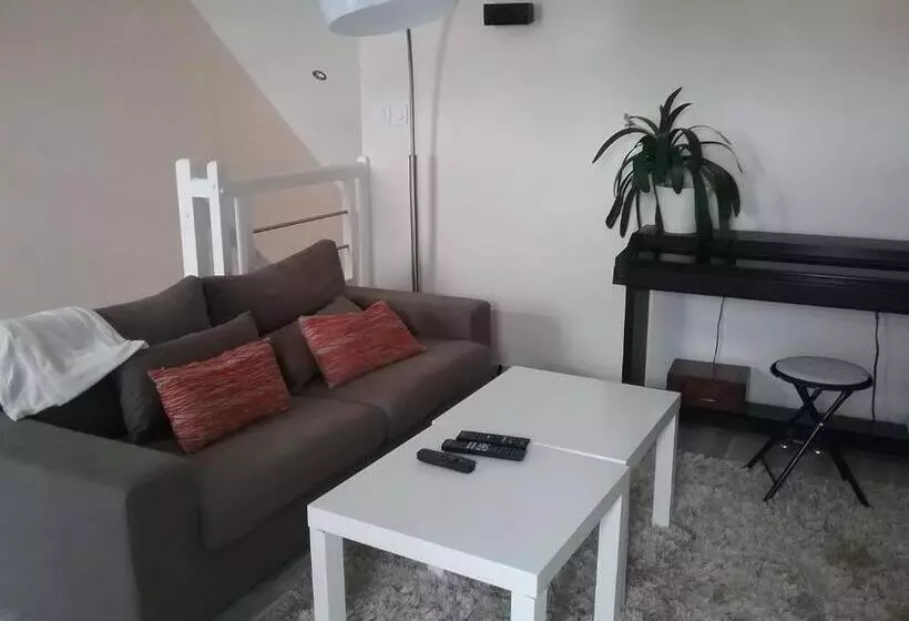 ベッドアンドブレックファースト Chambre Et Salon Vidéo