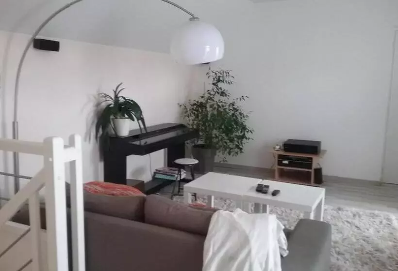 ベッドアンドブレックファースト Chambre Et Salon Vidéo