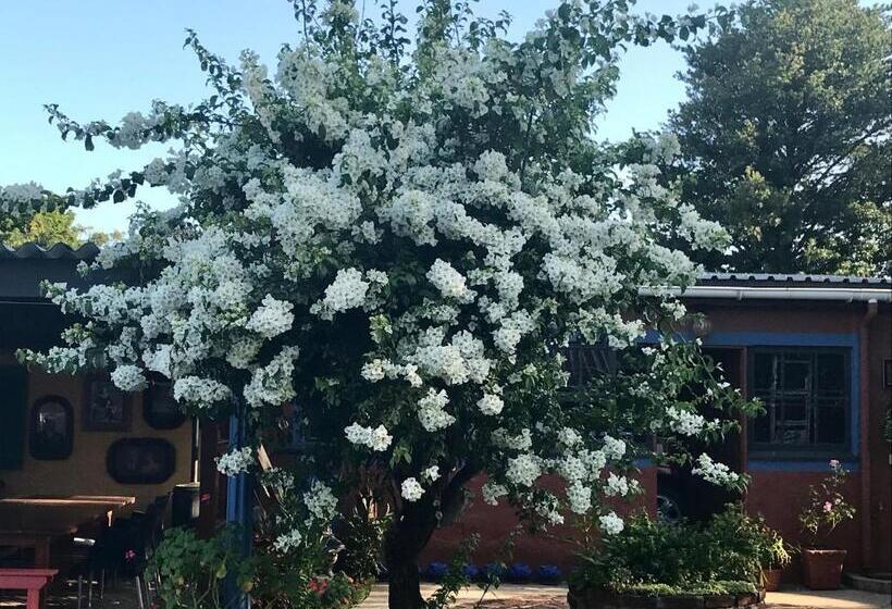 مبيت وإفطار Five Sisters