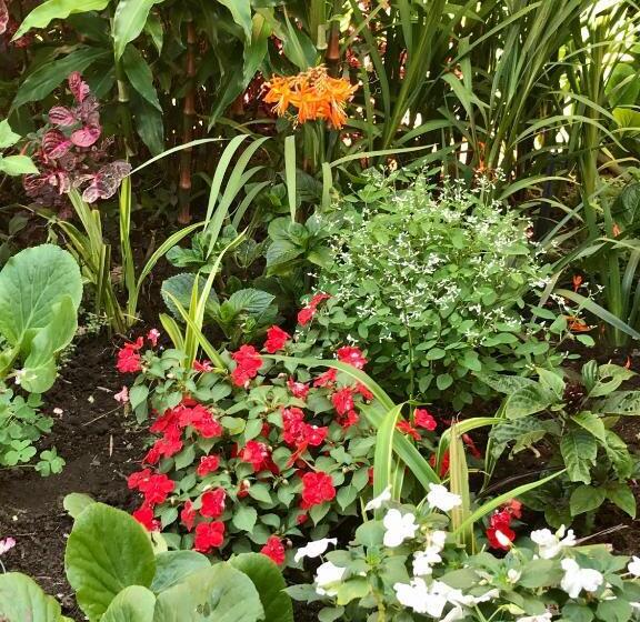 مبيت وإفطار Five Sisters