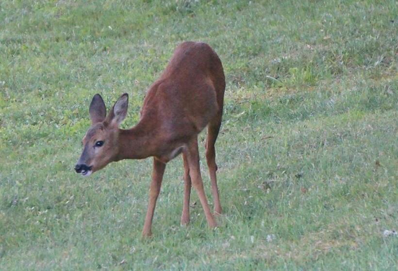 Bed and Breakfast Les Feuillantines Perigord Noir