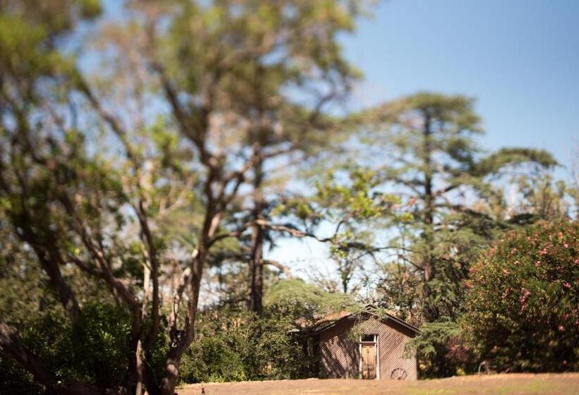 צימר Ravenswood Homestead