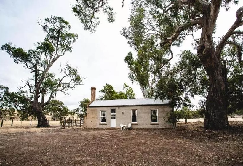 ベッドアンドブレックファースト Ravenswood Homestead