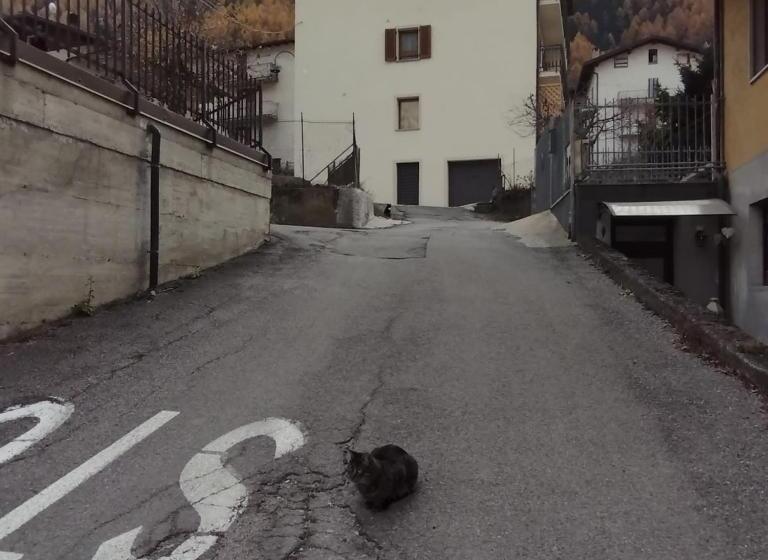 住宿加早餐 Residenza Il Gufetto