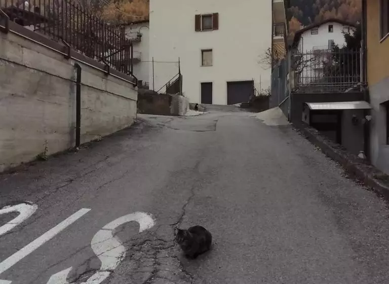 Aamiaismajoitus (B&B) Residenza  Il Gufetto