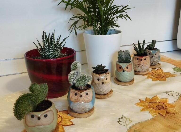 住宿加早餐 Residenza Il Gufetto