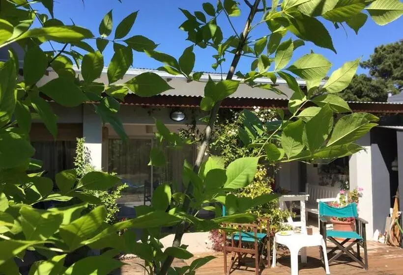 Aamiaismajoitus (B&B) Titanes Pinamar