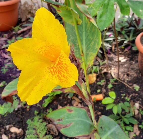 Ernesto Hotel & Restaurante