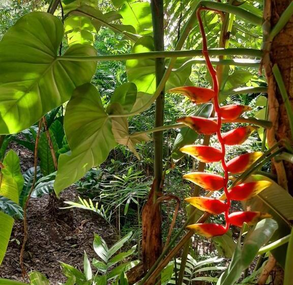 Ernesto Hotel & Restaurante