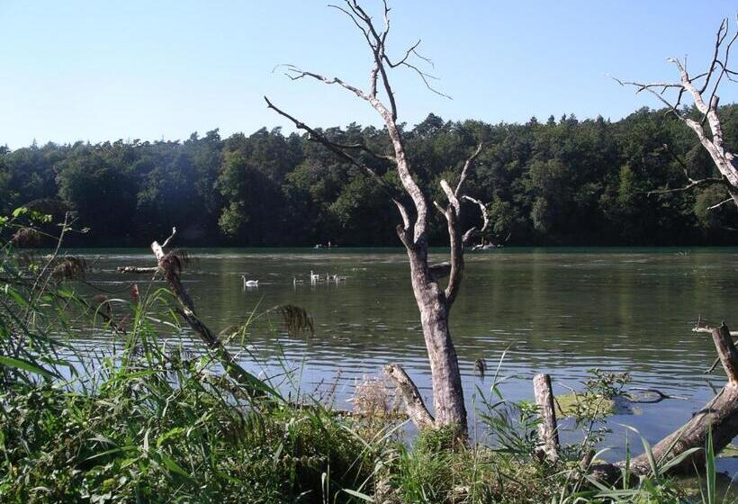 Gasthof & Pension Hirschen Stetten