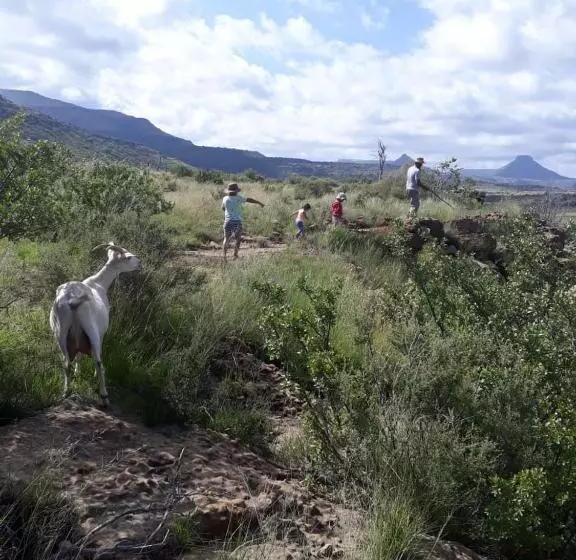 ホテル Saffier River Cottage Farmstay