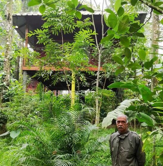 Monsoon Cabin Hostel