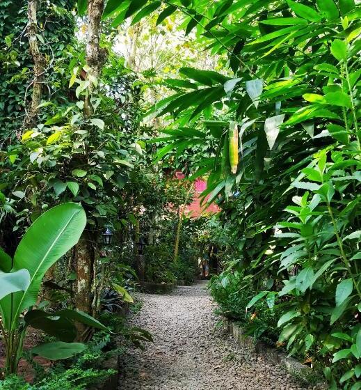 Monsoon Cabin Hostel