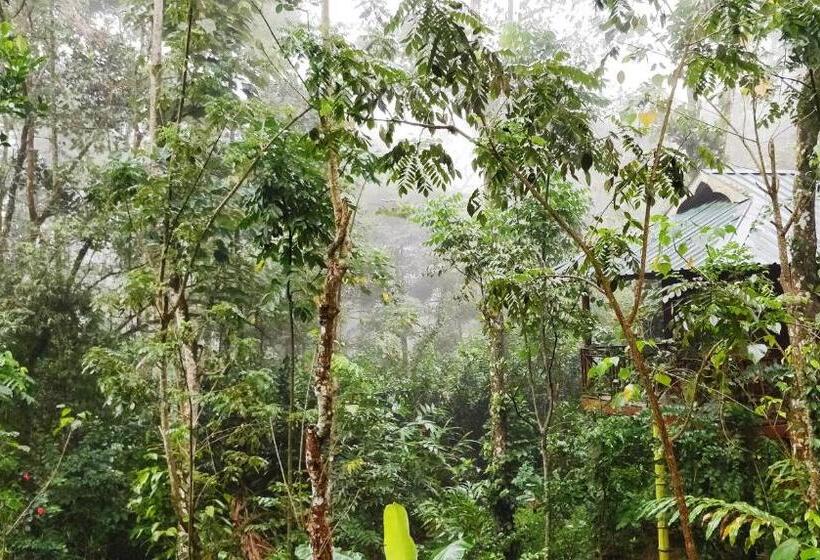 Monsoon Cabin Hostel