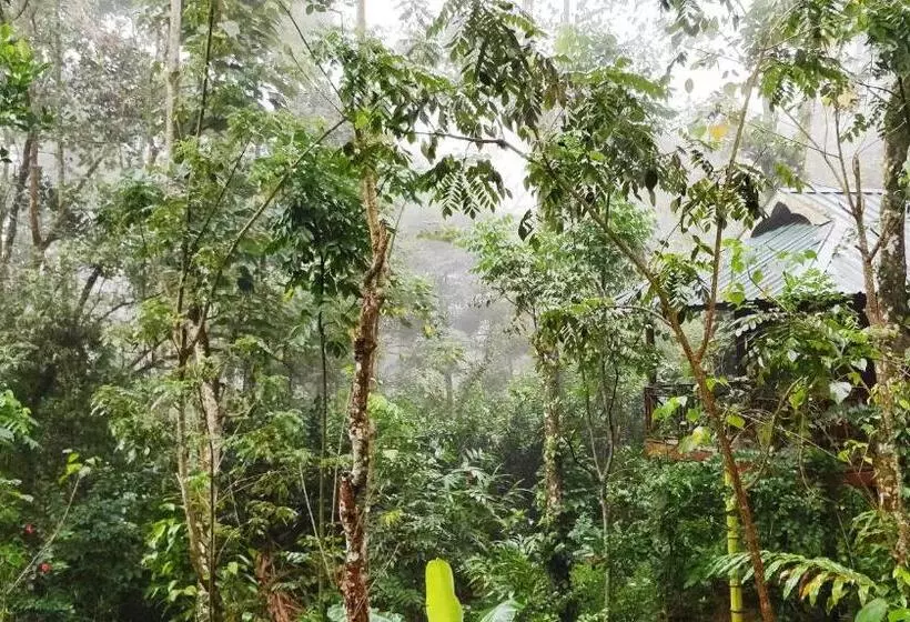 Monsoon Cabin Hostel