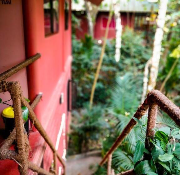 Monsoon Cabin Hostel