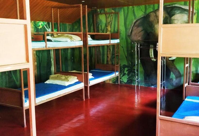 Monsoon Cabin Hostel