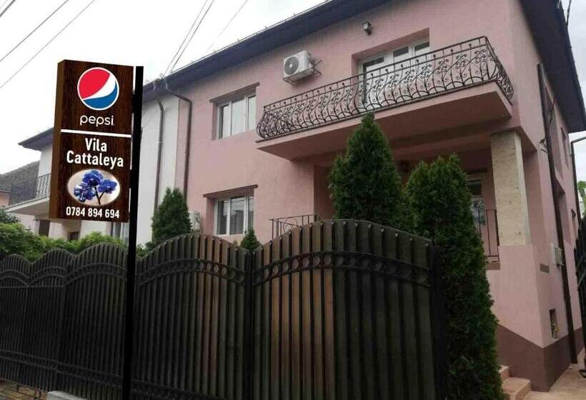 Majatalo Casa Cattleya