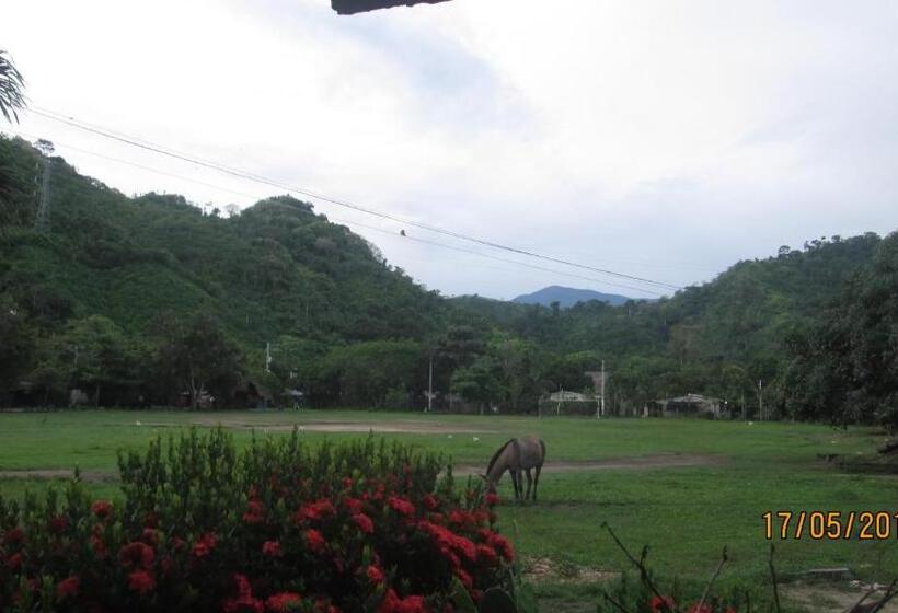 پانسیون Hostel Cattleya