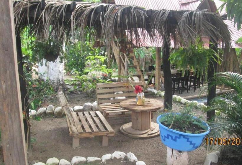 پانسیون Hostel Cattleya