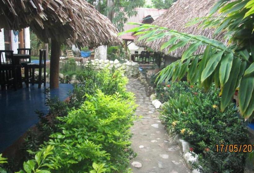 پانسیون Hostel Cattleya