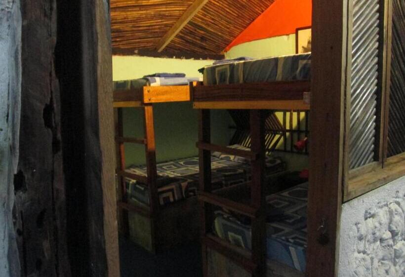 پانسیون Hostel Cattleya