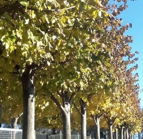 פנסיון Vitória S House