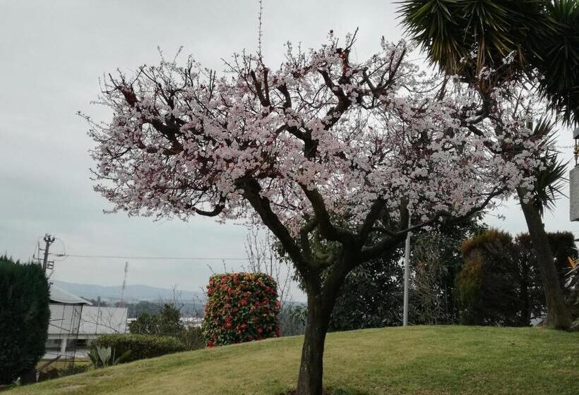 פנסיון Vitória S House