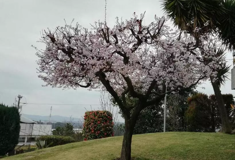 ペンション Vitória S House