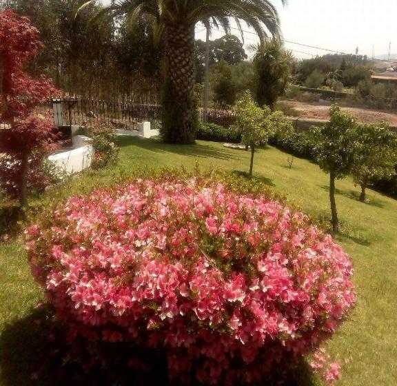 פנסיון Vitória S House