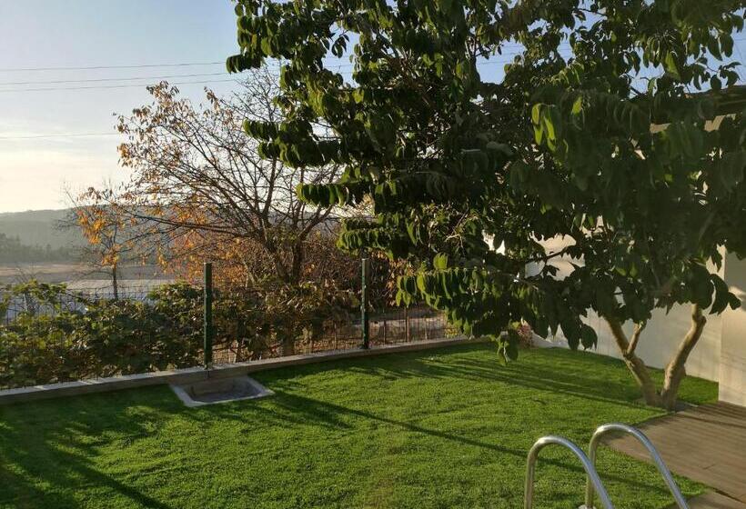 פנסיון Vitória S House